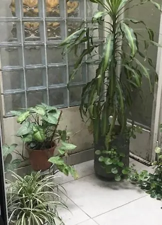 Apartamento Departamento en Palermo, lindo y muy bien ubicado Ciudad Autónoma de Ciudad Autónoma de Buenos Aires Exterior foto