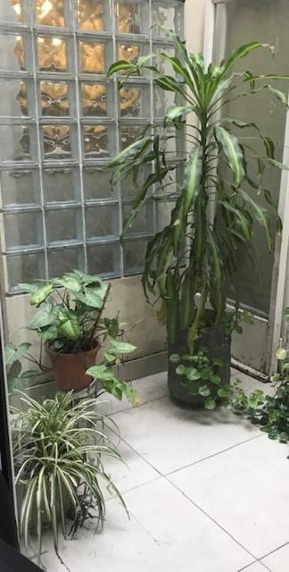 Ayres De Palermo , Botanico! Apartamento *