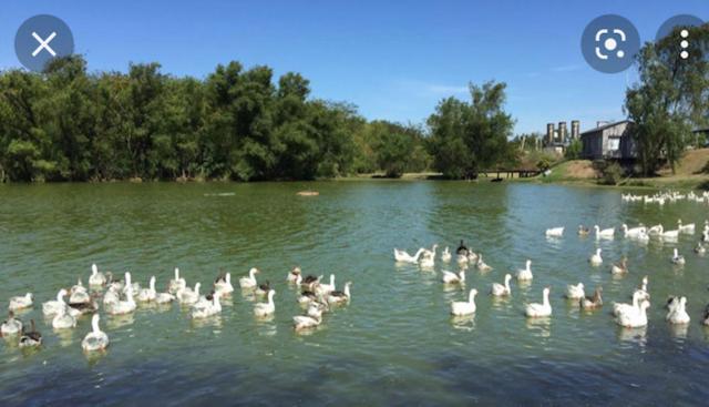 Ayres De Palermo , Botanico! Apartamento *