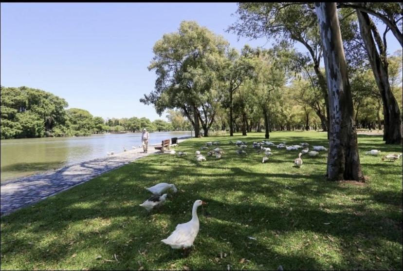 Apartamento Ayres De Palermo , Botanico!